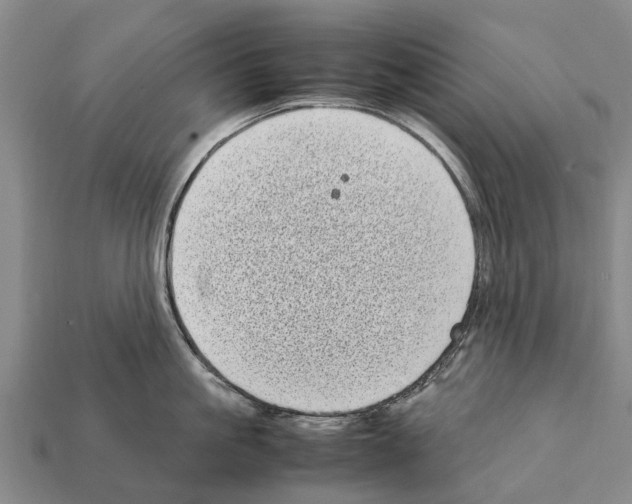 X0000111920861200909071216