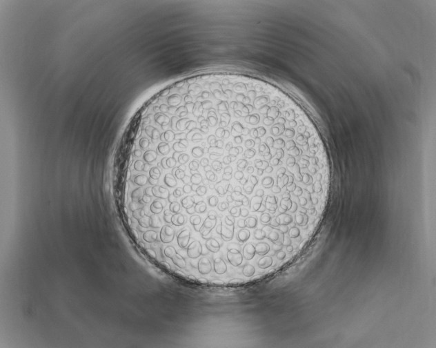 X0000111920862200909071216