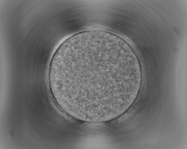 X0000111920864200909071216