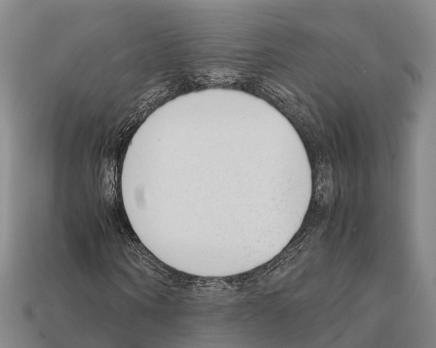 X0000111920866200909071215