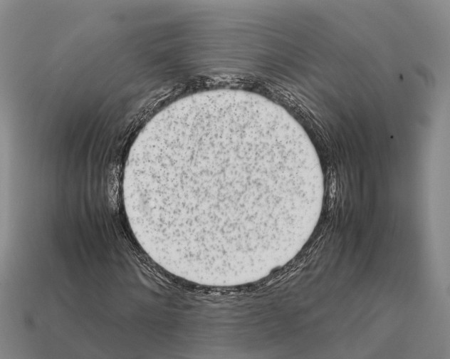 X0000111920868200909071215