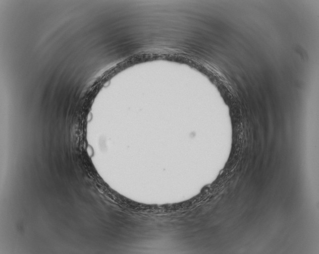 X0000111920872200909071215