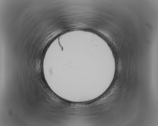 X0000111920873200909071215