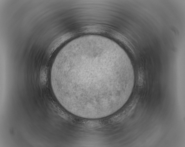 X0000111920874200909071215