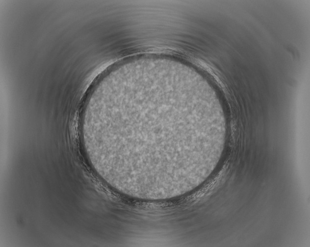 X0000111920875200909071215