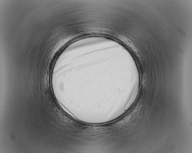 X0000111920877200909071215