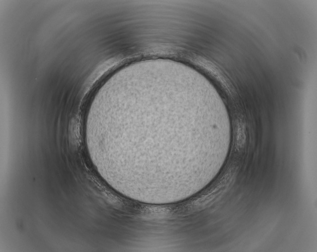 X0000111920878200909071215