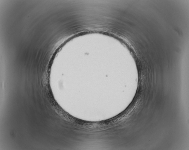 X0000111920879200909071215