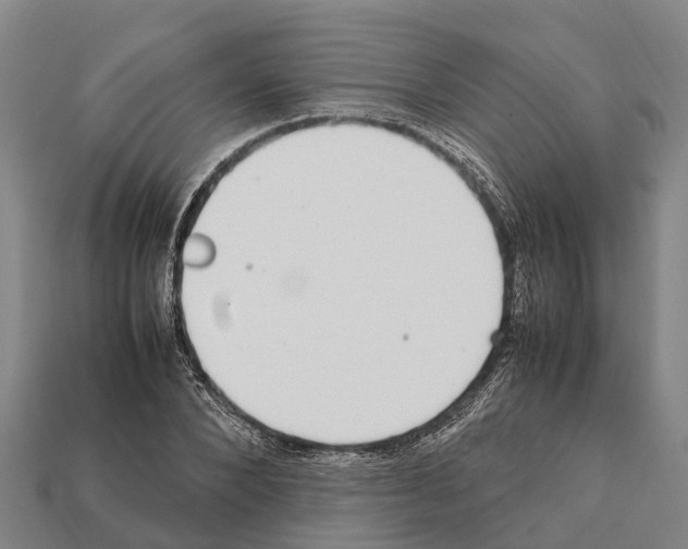 X0000111920880200909071215