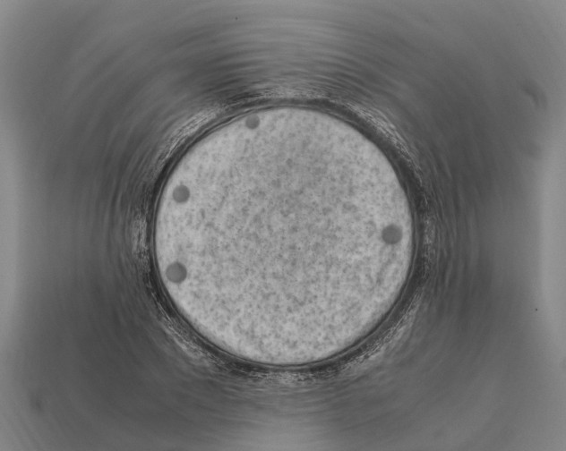 X0000111920881200909071215