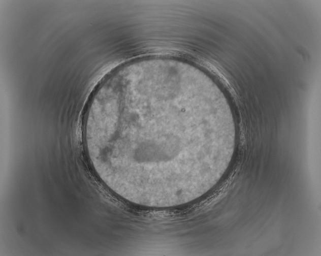 X0000111920883200909071215