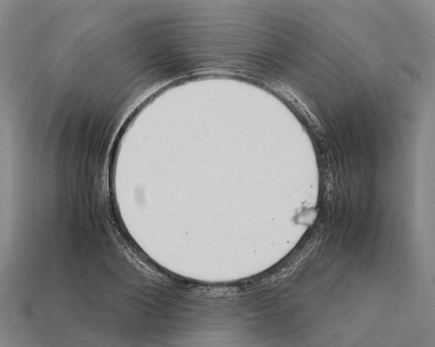 X0000111920884200909071215