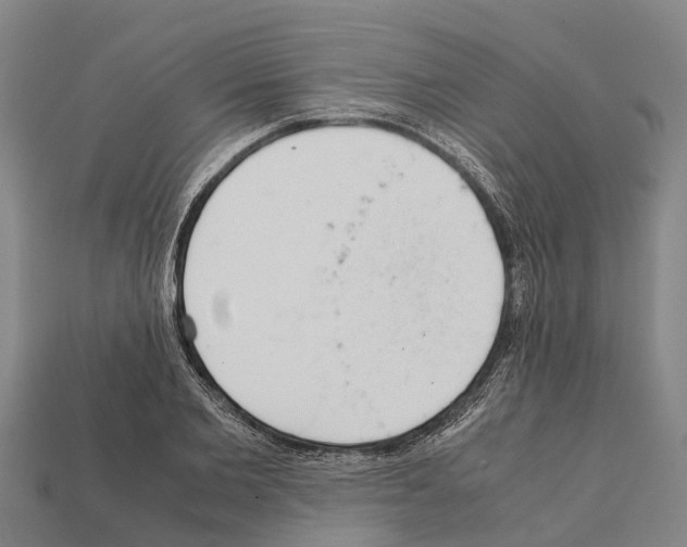 X0000111920885200909071215