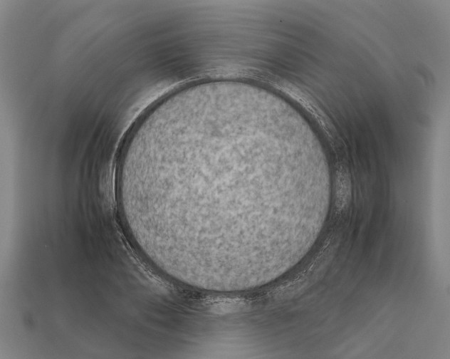 X0000111920886200909071215