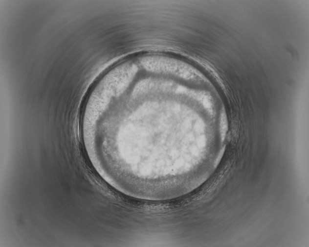 X0000111920887200909071215