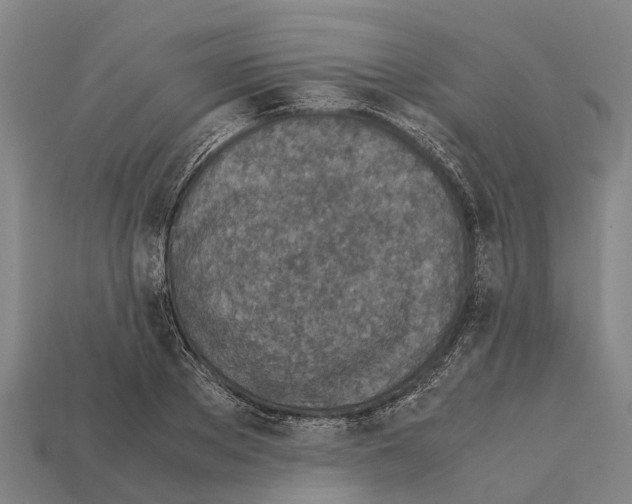 X0000111920889200909071215