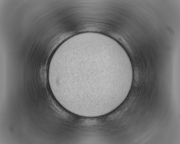 X0000111920890200909071215