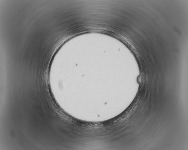 X0000111920891200909071215