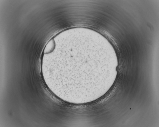 X0000111920892200909071215