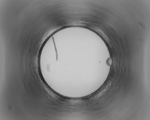 X0000111920893200909071215