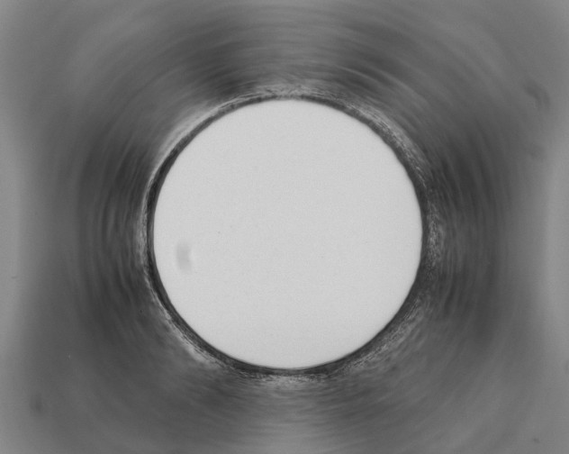 X0000111920894200909071215