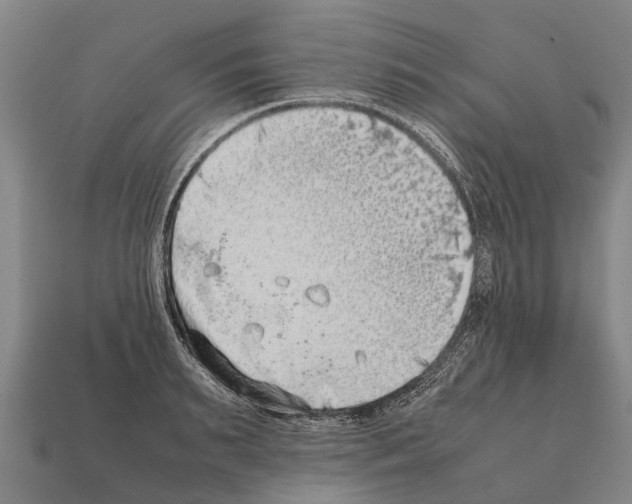 X0000111920895200909071215