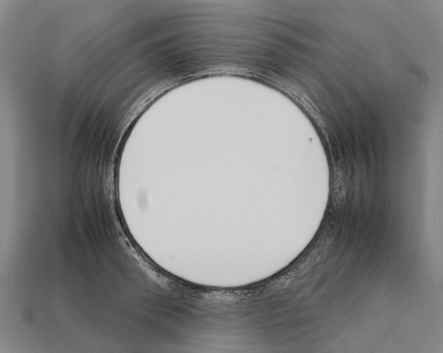 X0000111920898200909071215