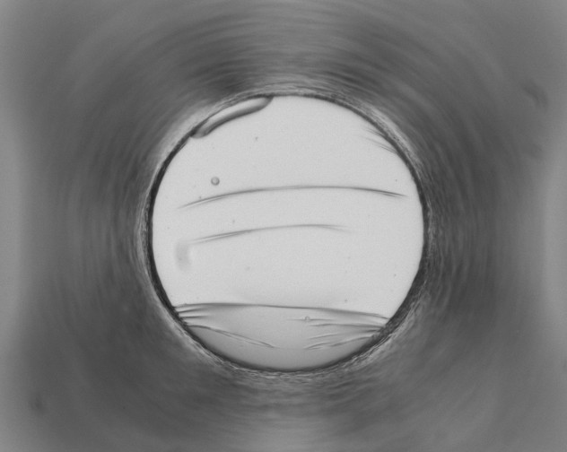 X0000111920901200909071215