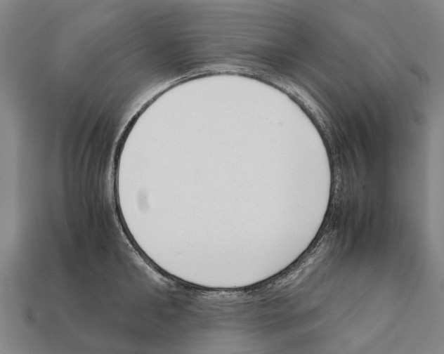 X0000111920902200909071215