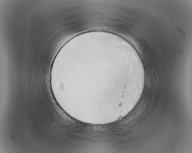 X0000111920903200909071215