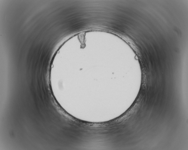 X0000111920904200909071215