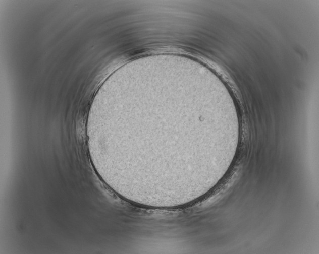 X0000111920905200909071215