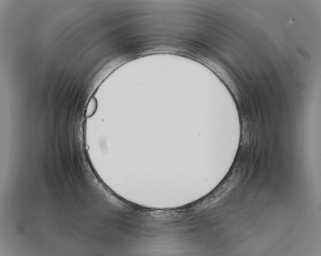 X0000111920906200909071215