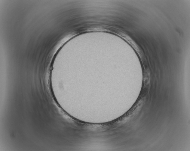 X0000111920909200909071215