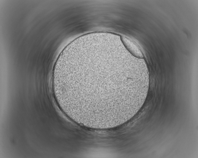 X0000111920911200909071214