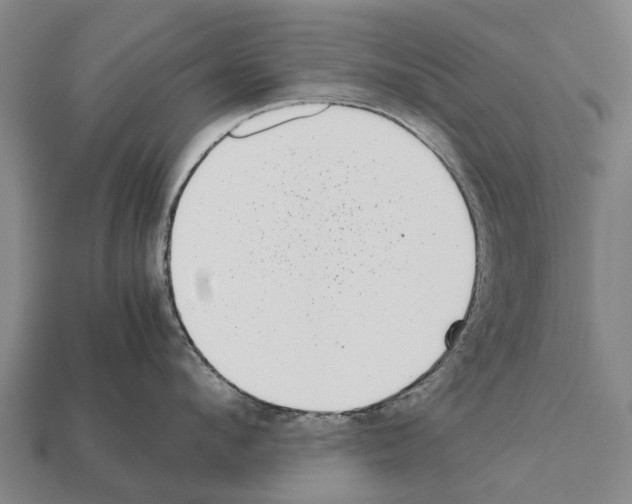 X0000111920912200909071214