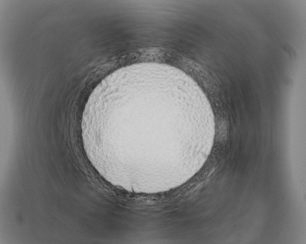 X0000111920913200909071214