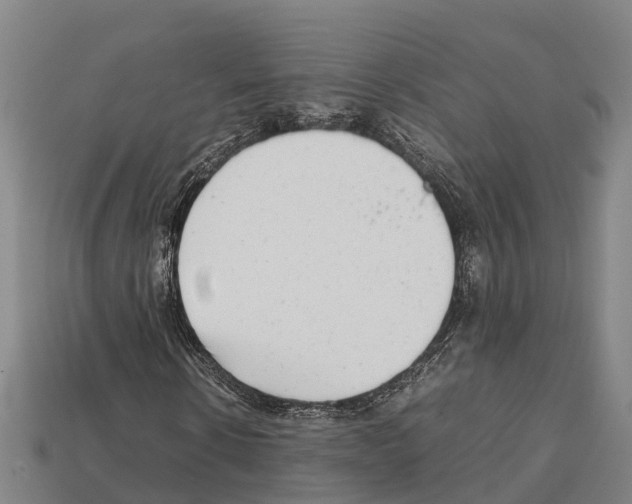 X0000111920914200909071214