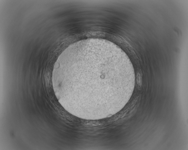 X0000111920915200909071214