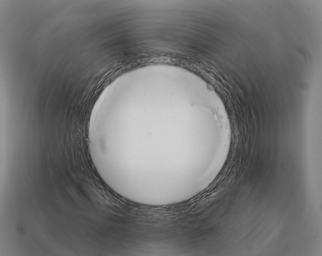 X0000111920916200909071214