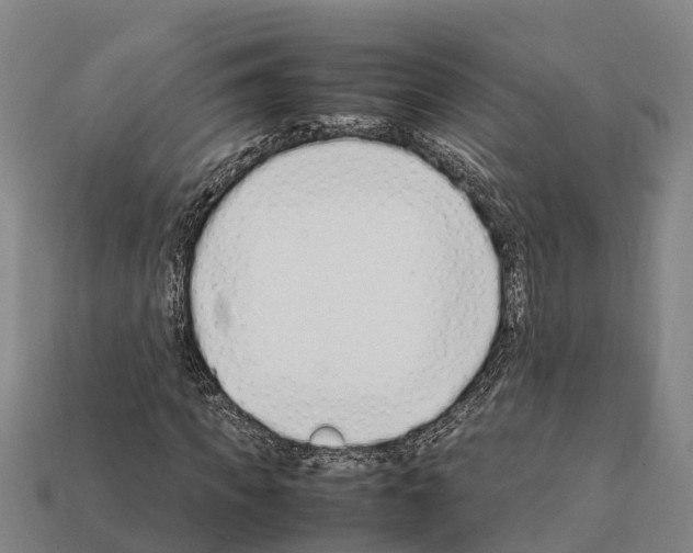 X0000111920917200909071214