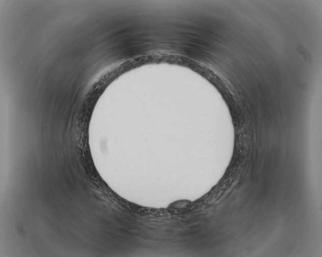 X0000111920919200909071214