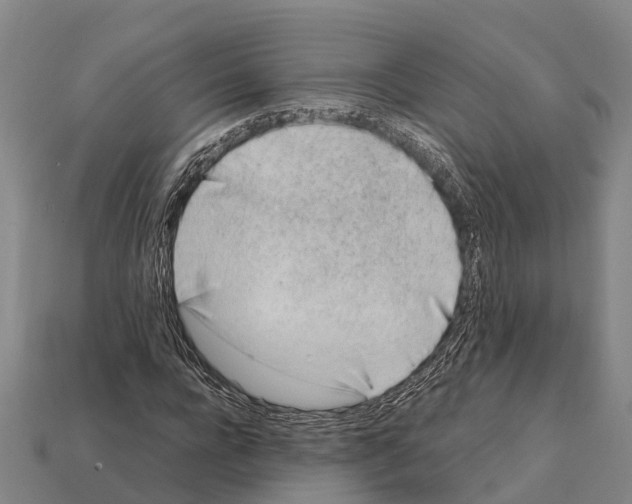 X0000111920920200909071214