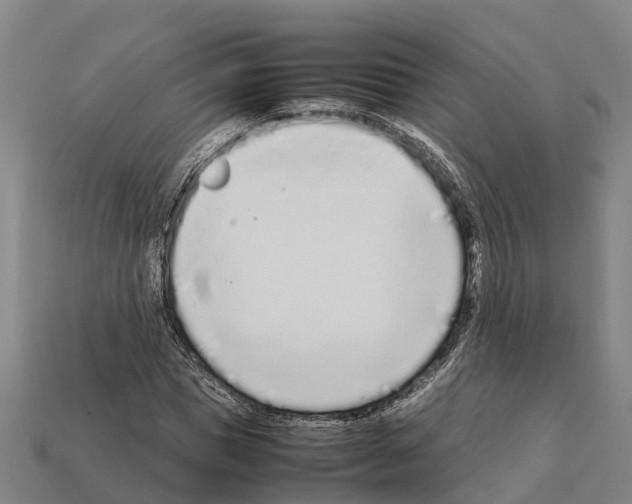 X0000111920921200909071214