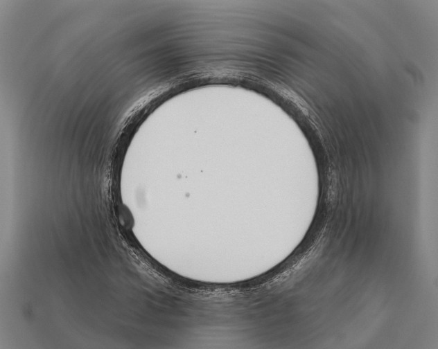 X0000111920922200909071214