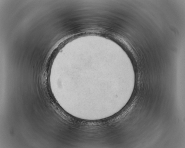 X0000111920923200909071214