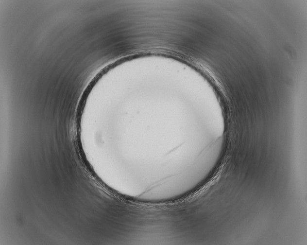 X0000111920924200909071214