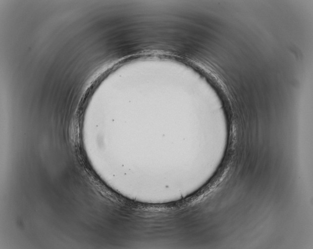 X0000111920925200909071214