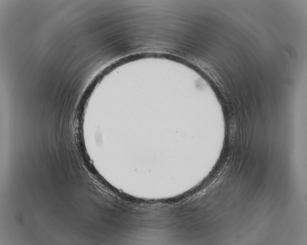 X0000111920926200909071214