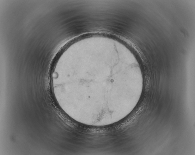 X0000111920927200909071214